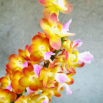 Perreiraara Bangkok sunset